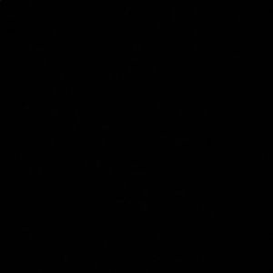 Meet your Posher, Nizam